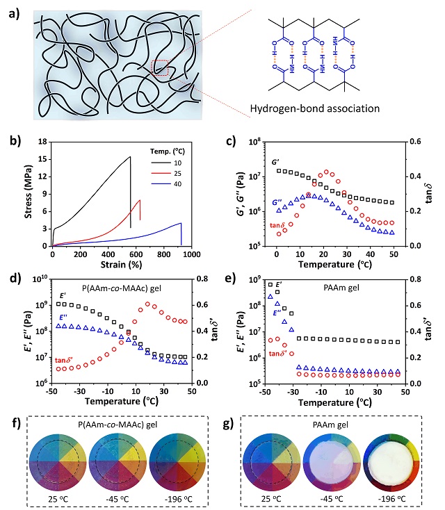 Figure 1.jpg